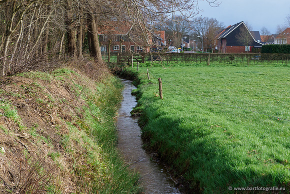 Wendhorstbeek 250220-046