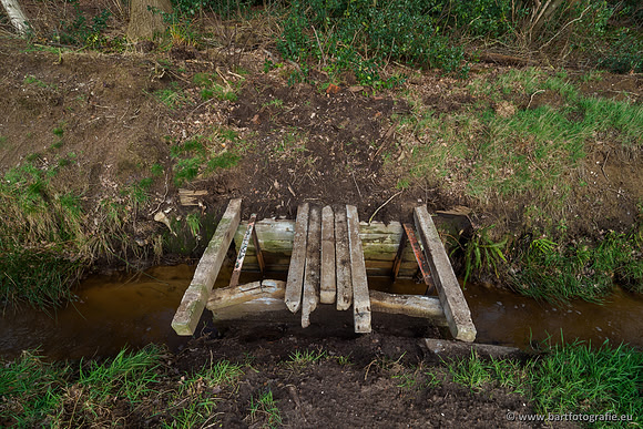 Wendhorstbeek 250220-048