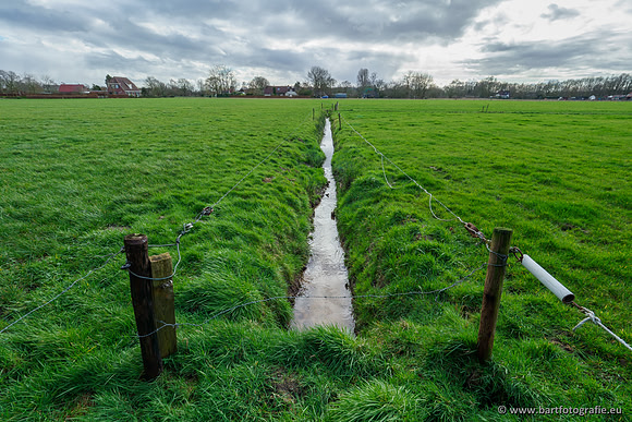 Wendhorstbeek 250220-049
