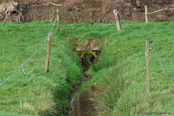 Wendhorstbeek 250220-050