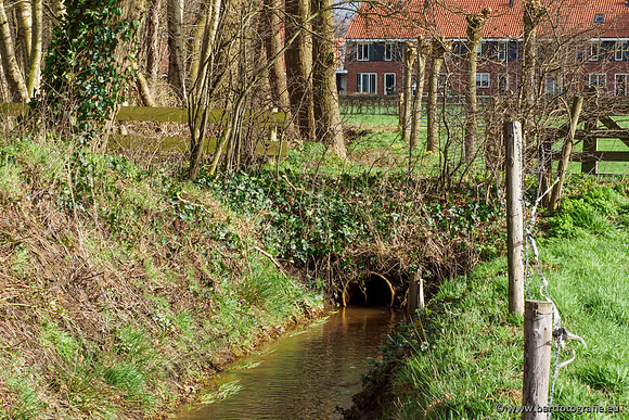 Wendhorstbeek 250220-051