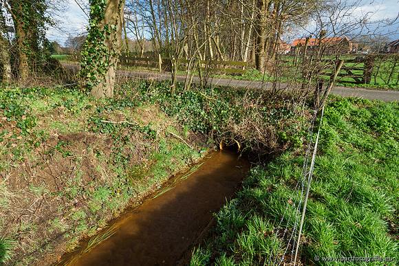 Wendhorstbeek 250220-052