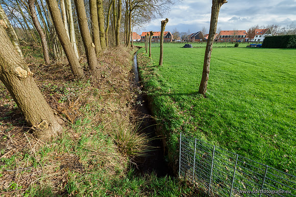 Wendhorstbeek 250220-053