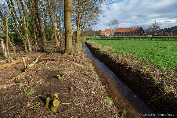 Wendhorstbeek 250220-054