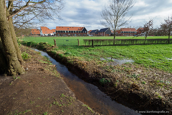 Wendhorstbeek 250220-055