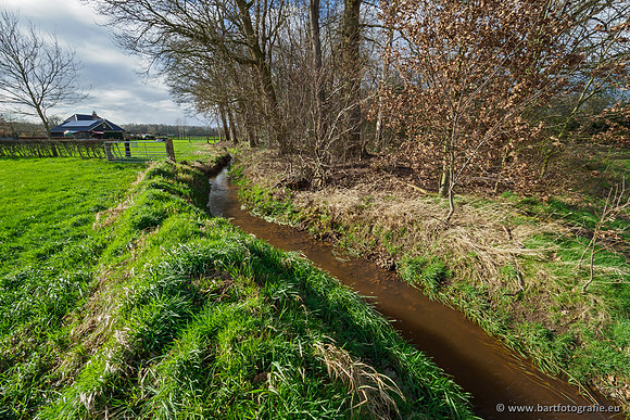 Wendhorstbeek 250220-056