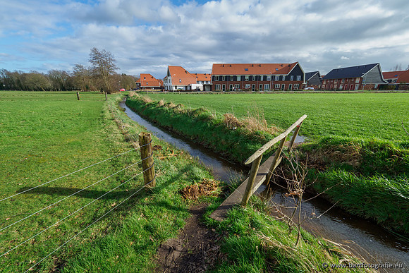 Wendhorstbeek 250220-057
