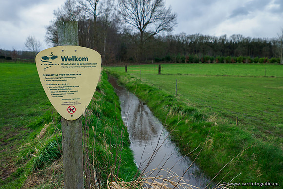 Wendhorstbeek 250220-059