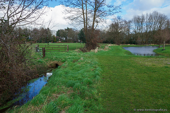 Wendhorstbeek 250220-061
