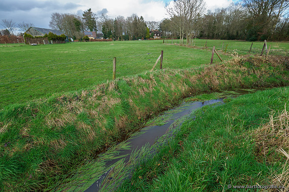 Wendhorstbeek 250220-062