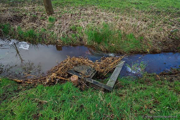 Wendhorstbeek 250220-063