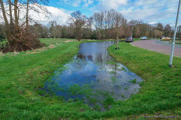 Wendhorstbeek 250220-064