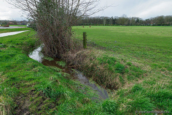 Wendhorstbeek 250220-065
