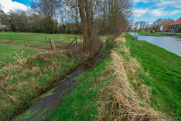 Wendhorstbeek 250220-069