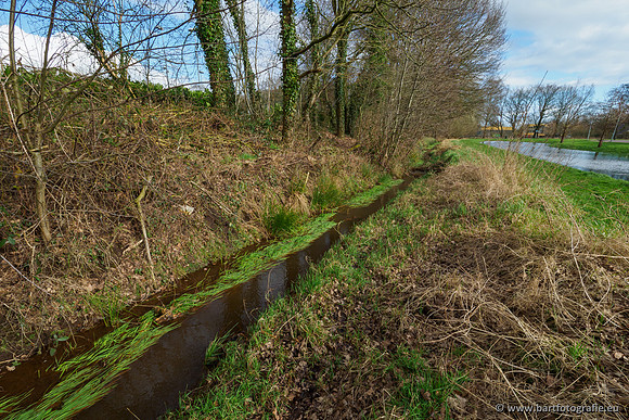 Wendhorstbeek 250220-074