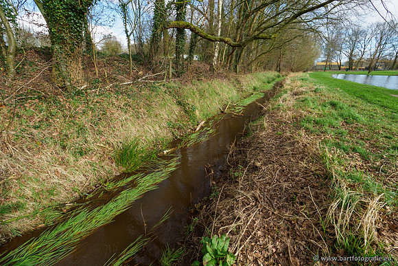 Wendhorstbeek 250220-075