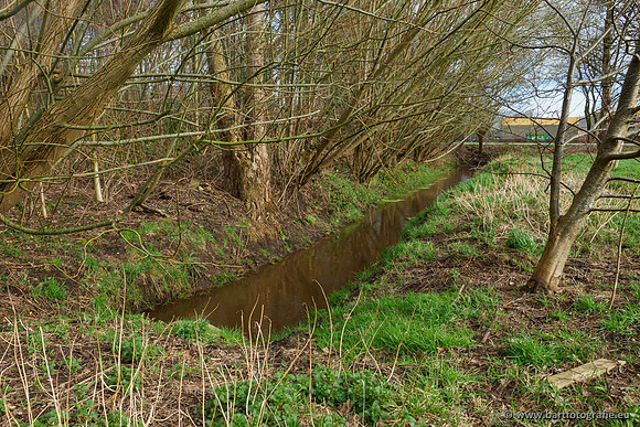 Wendhorstbeek 250220-076