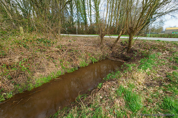 Wendhorstbeek 250220-077