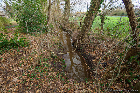 Wendhorstbeek 250220-078