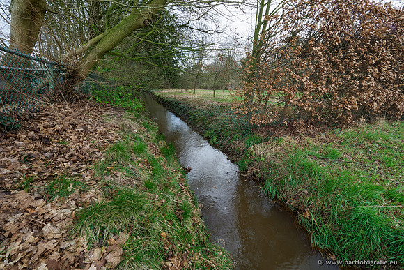 Wendhorstbeek 250220-079