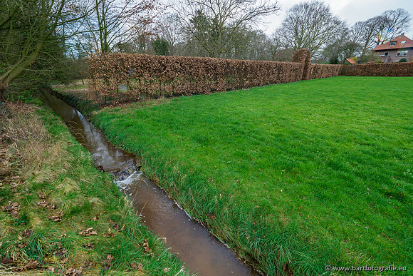 Wendhorstbeek 250220-080