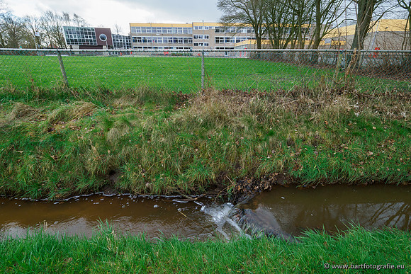 Wendhorstbeek 250220-081
