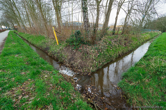 Wendhorstbeek 250220-082
