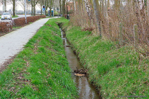 Wendhorstbeek 250220-083
