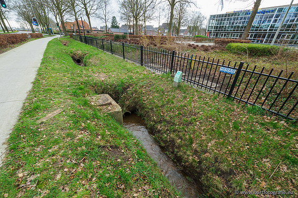 Wendhorstbeek 250220-084