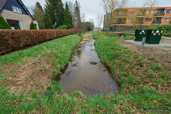 Wendhorstbeek 250220-086