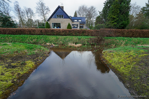 Wendhorstbeek 250220-090