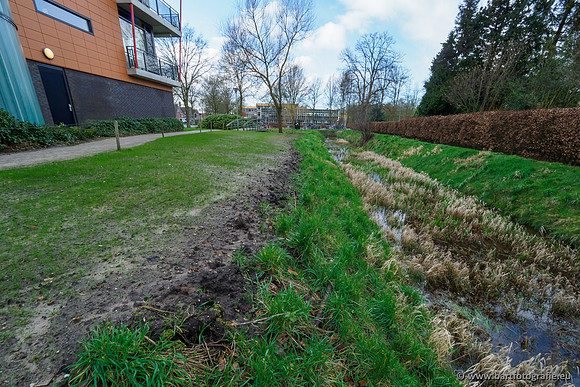 Wendhorstbeek 250220-091