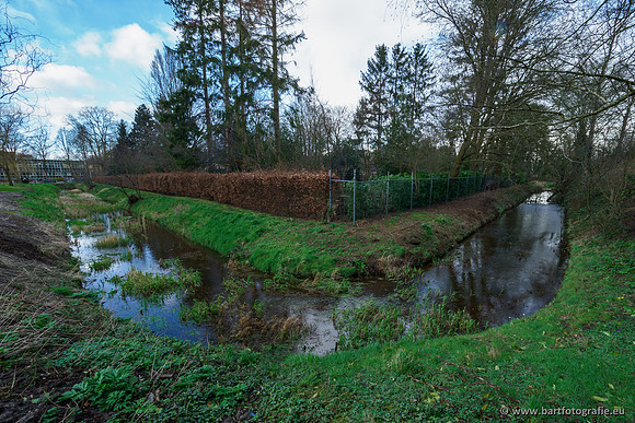 Wendhorstbeek 250220-092