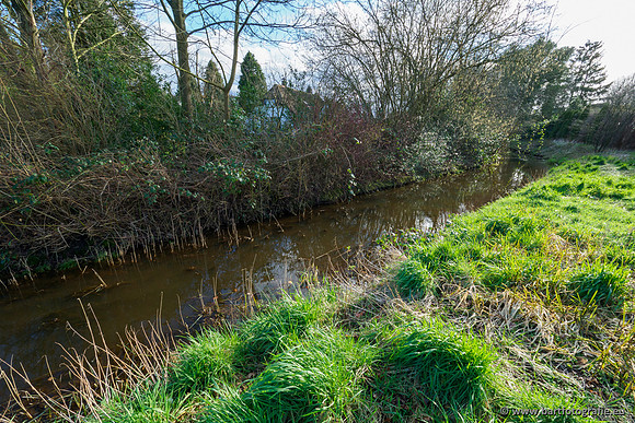 Wendhorstbeek 250220-097