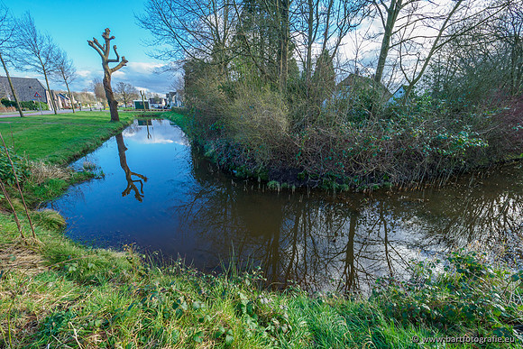 Wendhorstbeek 250220-098