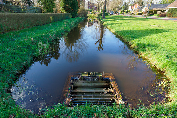 Wendhorstbeek 250220-099