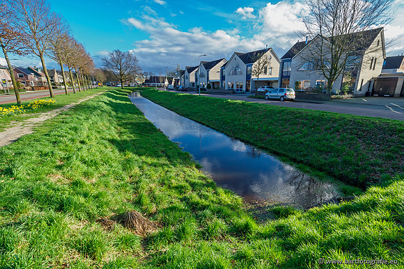 Wendhorstbeek 250220-100