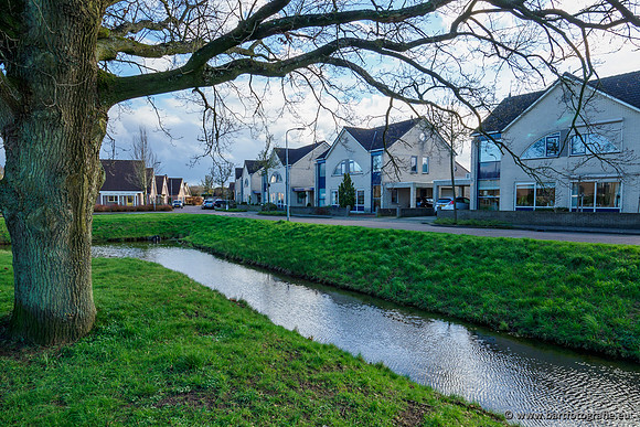 Wendhorstbeek 250220-101