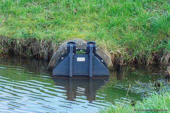 Wendhorstbeek 250220-103