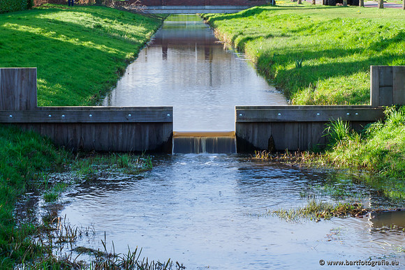 Wendhorstbeek 250220-107