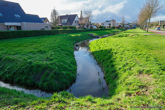 Wendhorstbeek 250220-109