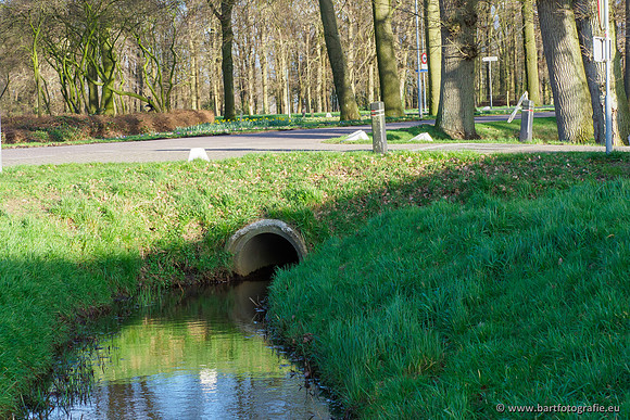 Wendhorstbeek 250220-110