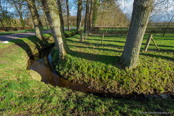 Wendhorstbeek 250220-111