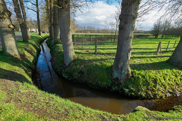 Wendhorstbeek 250220-112