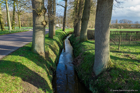 Wendhorstbeek 250220-113