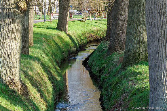 Wendhorstbeek 250220-114