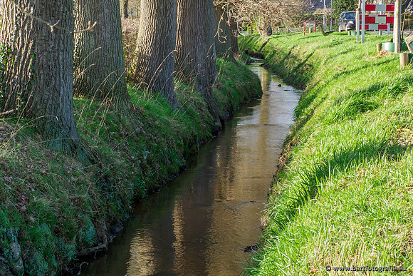 Wendhorstbeek 250220-115