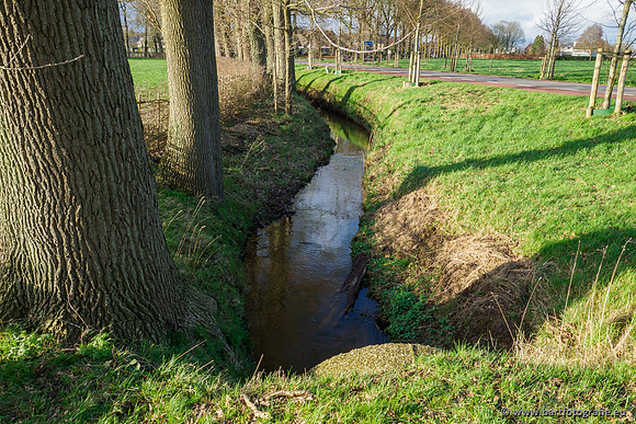 Wendhorstbeek 250220-117