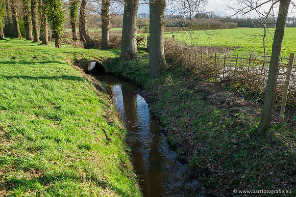 Wendhorstbeek 250220-116