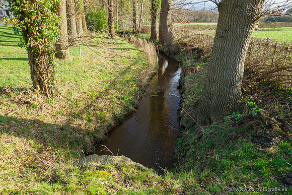 Wendhorstbeek 250220-118